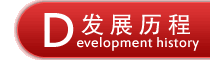 发展历程 发展历程