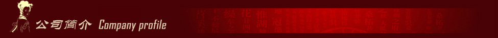 蚕花娘娘公司简介